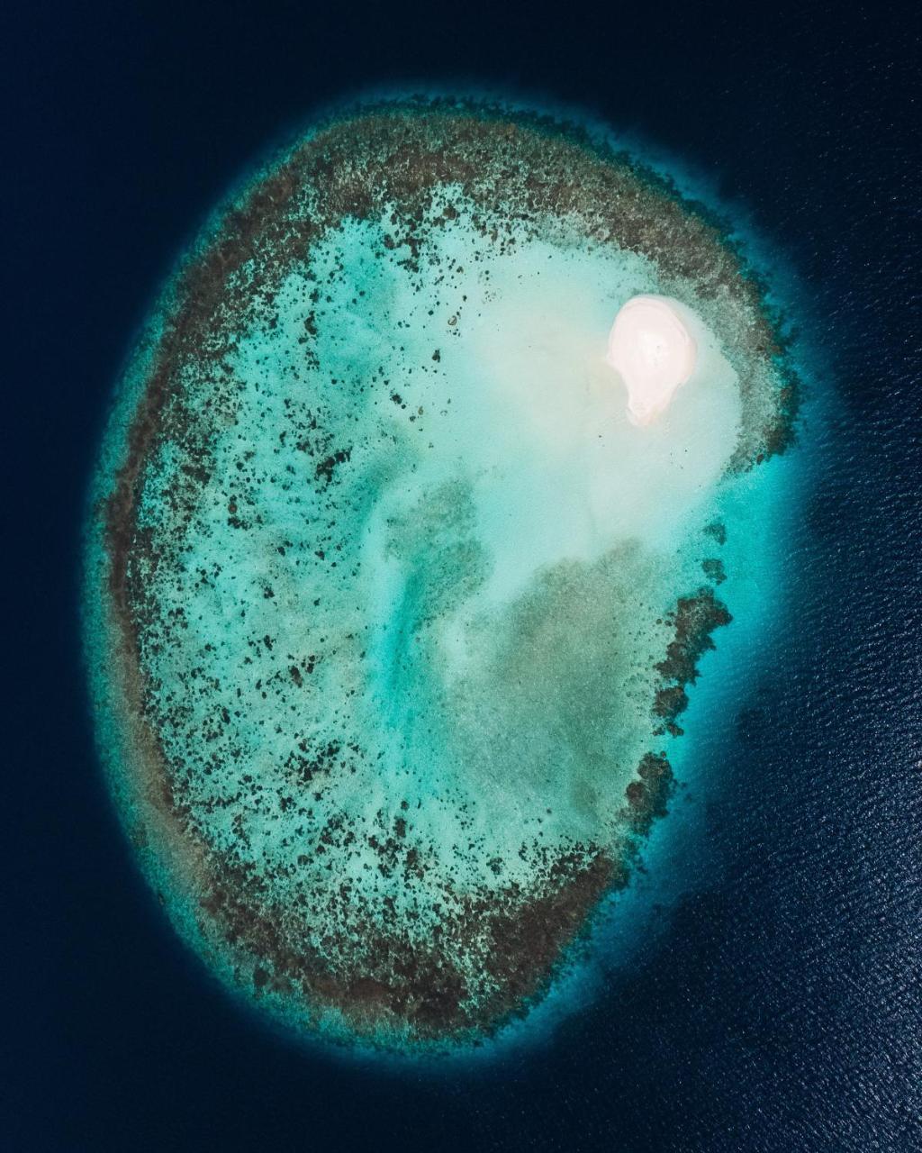 Sunset Stay Maldives Thinadhoo  Exterior photo